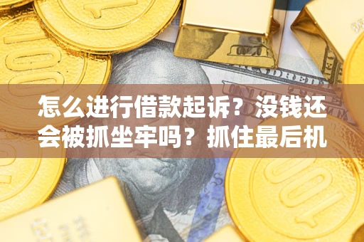济南怎么进行借款起诉？没钱还会被抓坐牢吗？抓住最后机会！