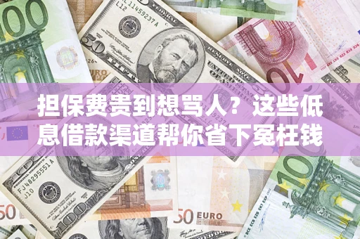 济南担保费贵到想骂人？这些低息借款渠道帮你省下冤枉钱
