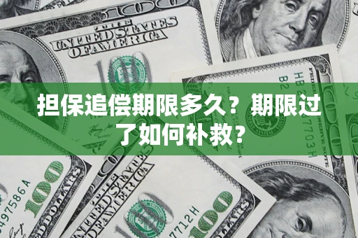 济南担保追偿期限多久？期限过了如何补救？